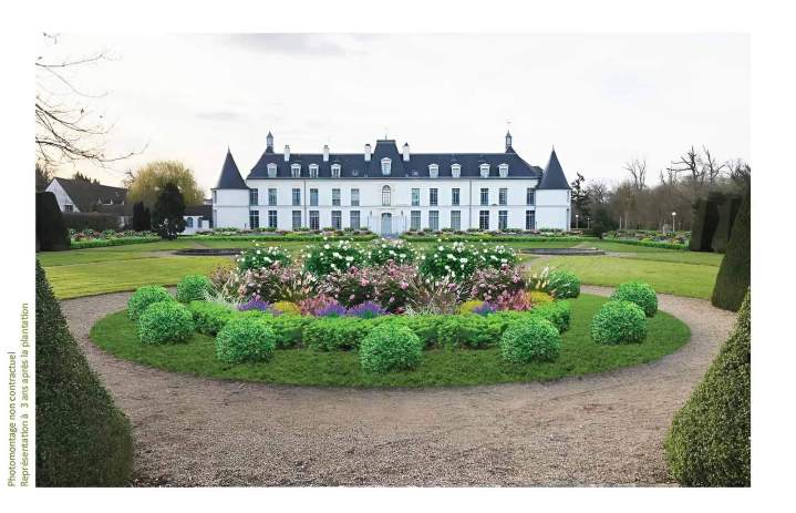 Après plantation Buchelay