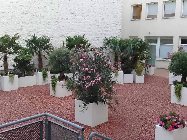 Aménagement paysager extérieur Buchelay