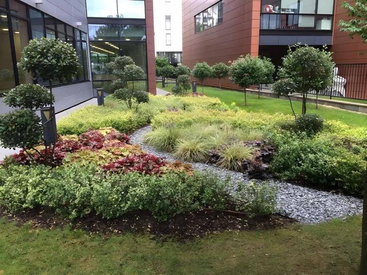 Création de parcs et jardins publics à Buchelay