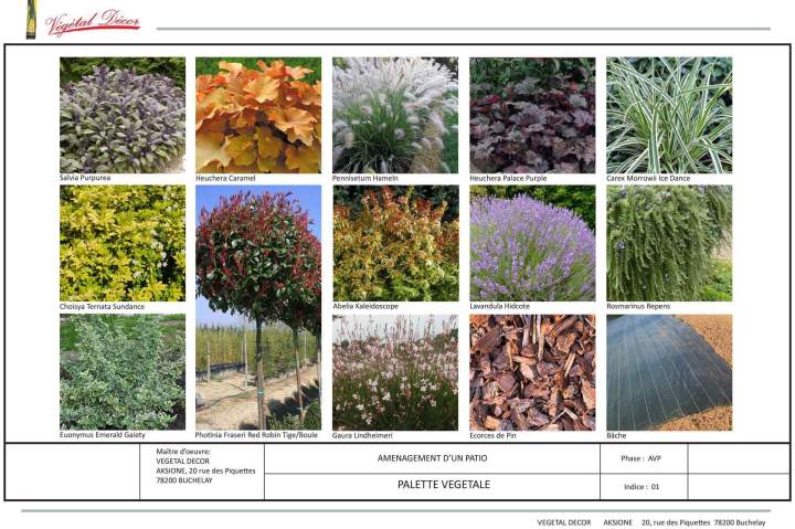 Entretien de jardins et espaces extérieurs à Buchelay