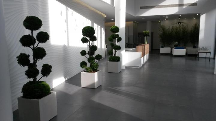 Paysagiste pour les entreprises à Suresnes<br/>Paysagiste pour les entreprises dans la commune de Suresnes<br/>Paysagiste pour les entreprises près de Suresnes