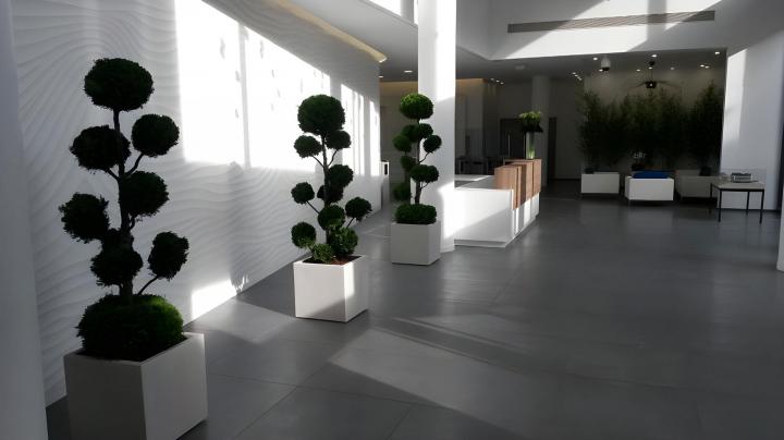 Aménagement végétal d'intérieur à Buchelay